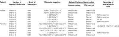 Identifying Balanced Chromosomal Translocations in Human Embryos by Oxford Nanopore Sequencing and Breakpoints Region Analysis